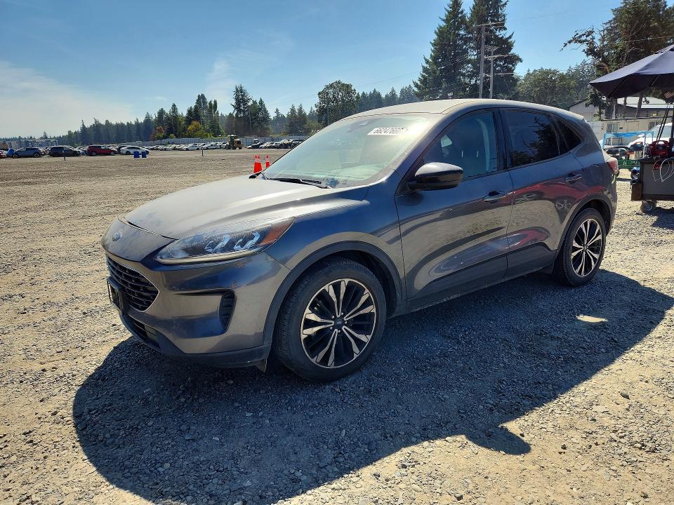 2022 Ford Escape მანქანა იყიდება აუქციონზე, vin: 1FMCU0G61NUB65322, აუქციონის ნომერი: 66247666