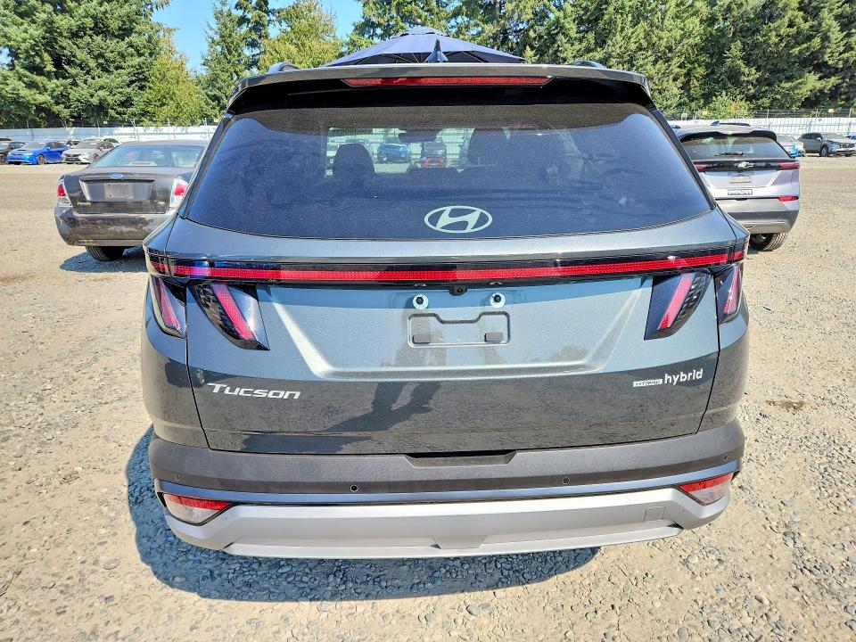 65389636 :رقم المزاد ، KM8JEDD15SU374112 vin ، 2025 Hyundai Tucson مزاد بيع