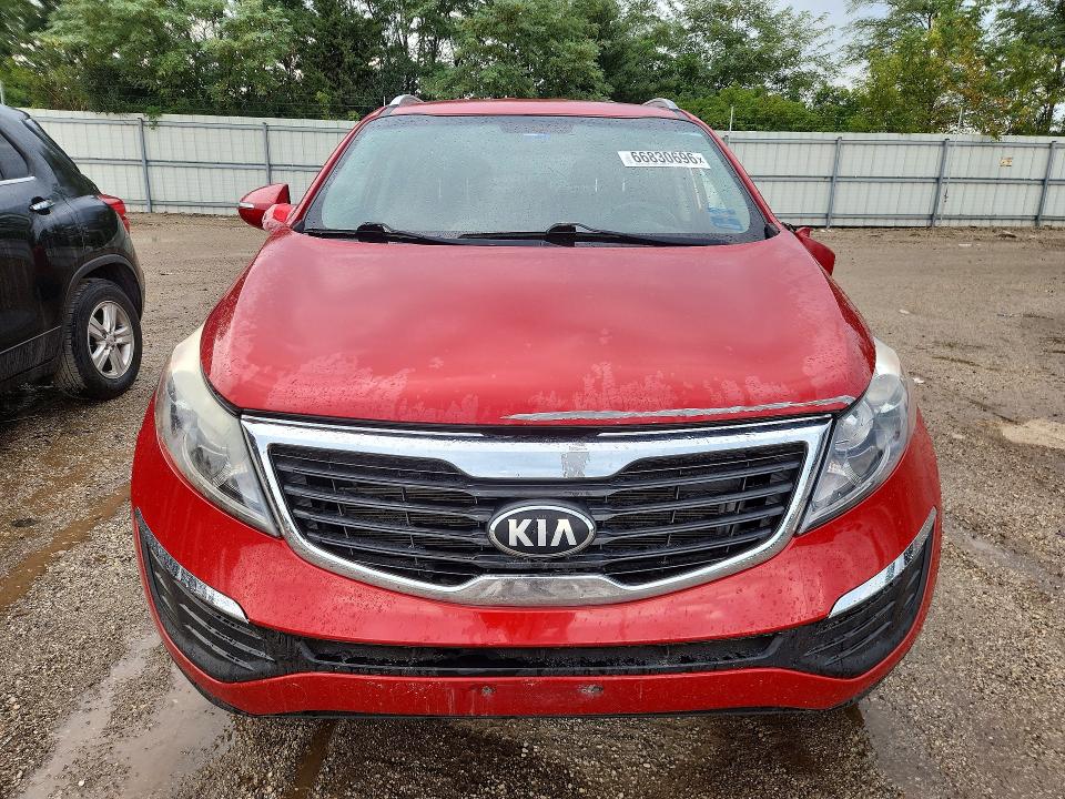 Продаж на аукціоні авто 2013 Kia Sportage, vin: KNDPC3A20D7365704, номер лоту: 66830696