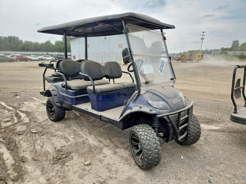 Auction sale of the 2018 Golf Cart Icon, vin: LTA0022725, lot number: 63724076