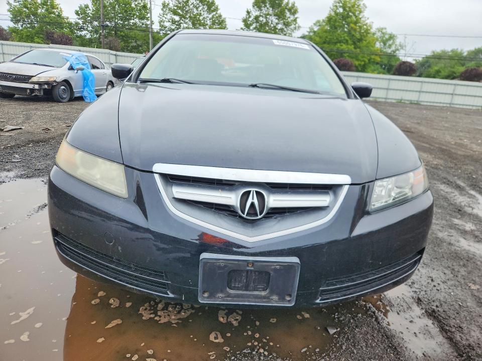 65007976 :رقم المزاد ، 19UUA66206A041095 vin ، 2006 Acura 3.2tl مزاد بيع