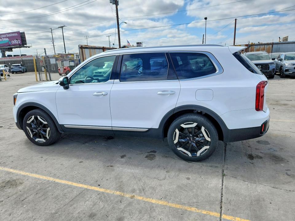 2024 Kia Telluride მანქანა იყიდება აუქციონზე, vin: 5XYP64GC8RG562997, აუქციონის ნომერი: 65202926