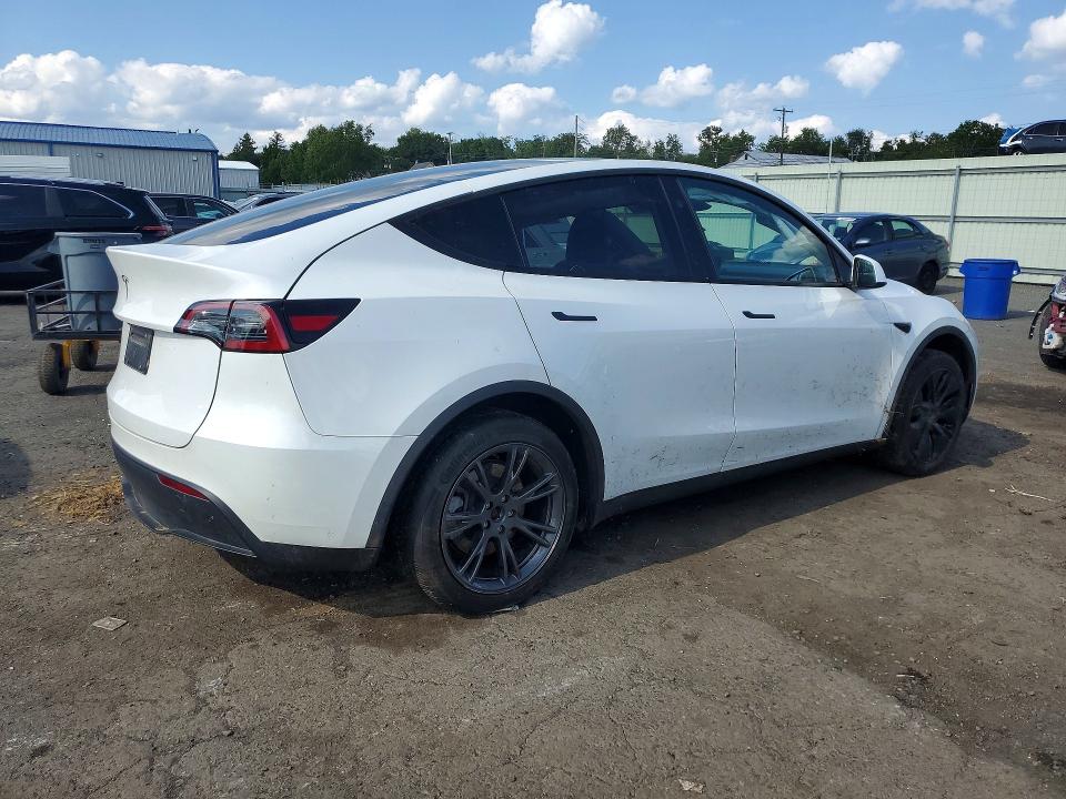 Продажа на аукционе авто 2024 Tesla Model Y, vin: 7SAYGDEDXRF104739, номер лота: 66227506