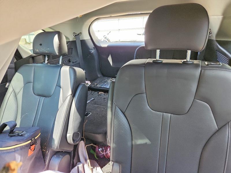 Продажа на аукционе авто 2025 Kia Sorento, vin: 5XYRHDJF0SG354527, номер лота: 63434296