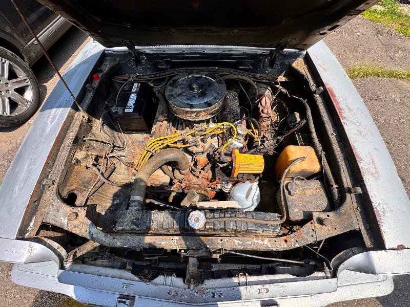 Aukcja sprzedaży 1978 Ford Mustang, vin: 8F03F139992, numer aukcji: 64519516