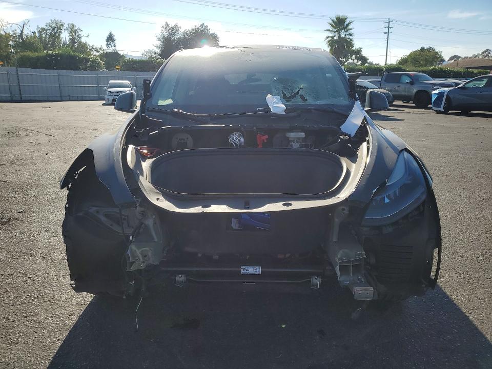Продажа на аукционе авто 2024 Tesla Model Y, vin: 7SAYGDEE3RF031884, номер лота: 64664536