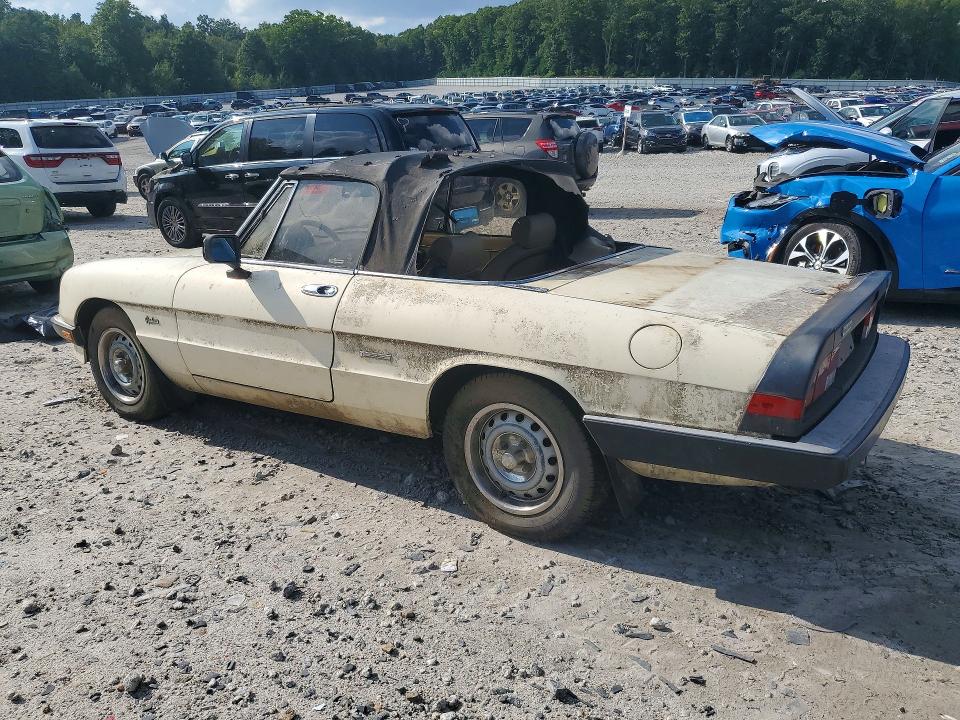66653166 :رقم المزاد ، ZARBA5641H1045361 vin ، 1987 Alfa Romeo Spider مزاد بيع