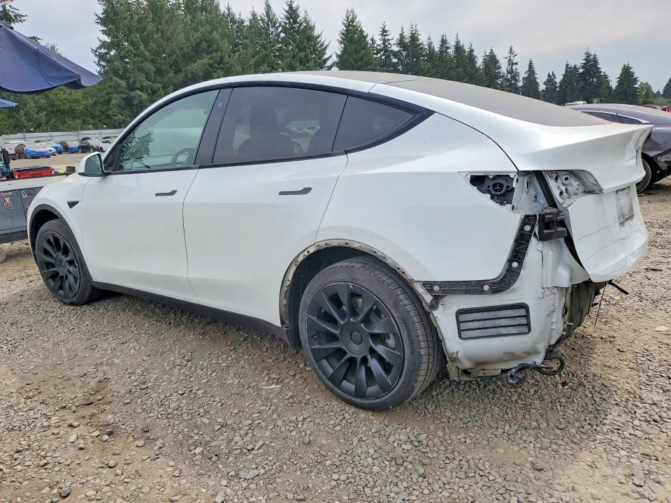 65055116 :رقم المزاد ، 5YJYGDEE8LF020237 vin ، 2020 Tesla Model Y مزاد بيع