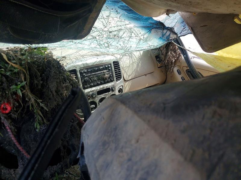 66703196 :رقم المزاد ، 1FMCU02Z55KD88279 vin ، 2005 Ford Escape مزاد بيع