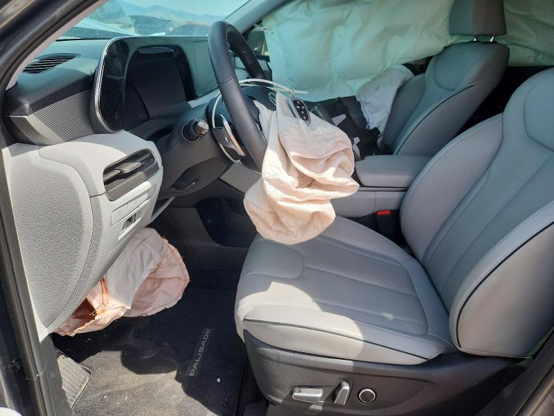 Aukcja sprzedaży 2025 Hyundai Palisade, vin: KM8R2DGE9SU893285, numer aukcji: 67006846