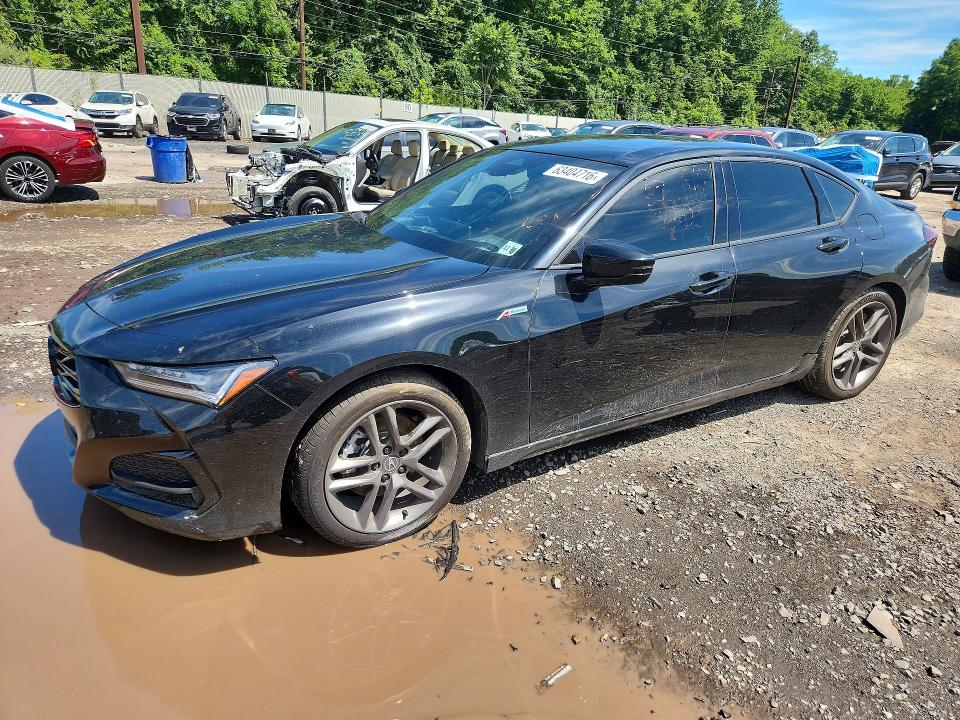 Auction sale of the 2025 Acura Tlx, vin: 19UUB6F56SA004506, lot number: 63404716