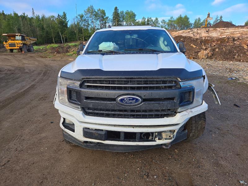 Продаж на аукціоні авто 2020 Ford F150, vin: 1FTFW1E59LKD92813, номер лоту: 64451606