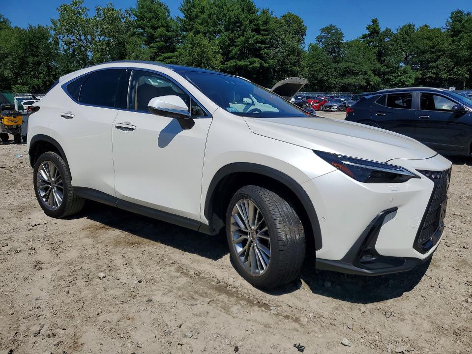 Продажа на аукционе авто 2024 Lexus Nx 350h, vin: JTJHKCEZXR2025668, номер лота: 63529786
