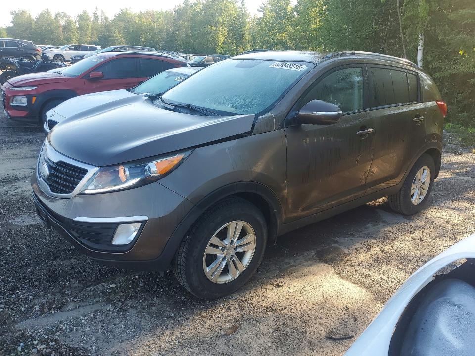 Продаж на аукціоні авто 2013 Kia Sportage, vin: KNDPB3A25D7524803, номер лоту: 63043516