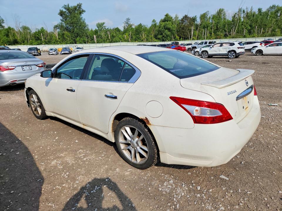 2009 Nissan Maxima მანქანა იყიდება აუქციონზე, vin: 1N4AA51E29C829954, აუქციონის ნომერი: 64330856