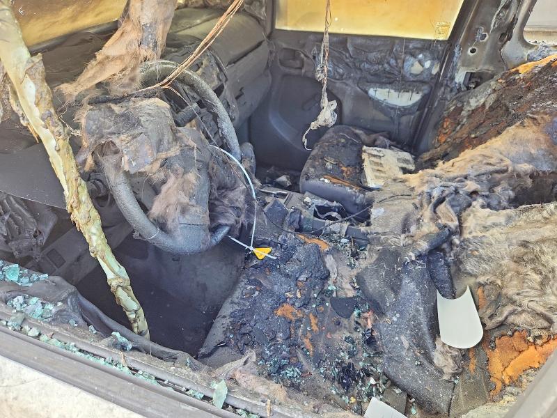 Aukcja sprzedaży 2017 Nissan Frontier, vin: 1N6BD0CT4HN719587, numer aukcji: 67182726
