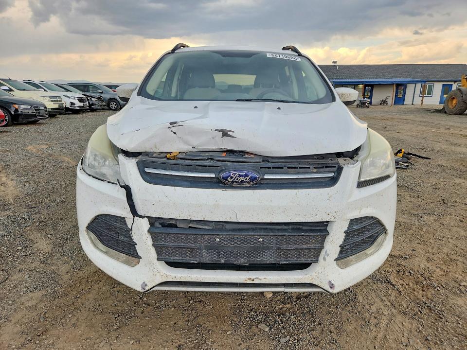 2014 Ford Escape მანქანა იყიდება აუქციონზე, vin: 1FMCU9GX4EUC70210, აუქციონის ნომერი: 66719606