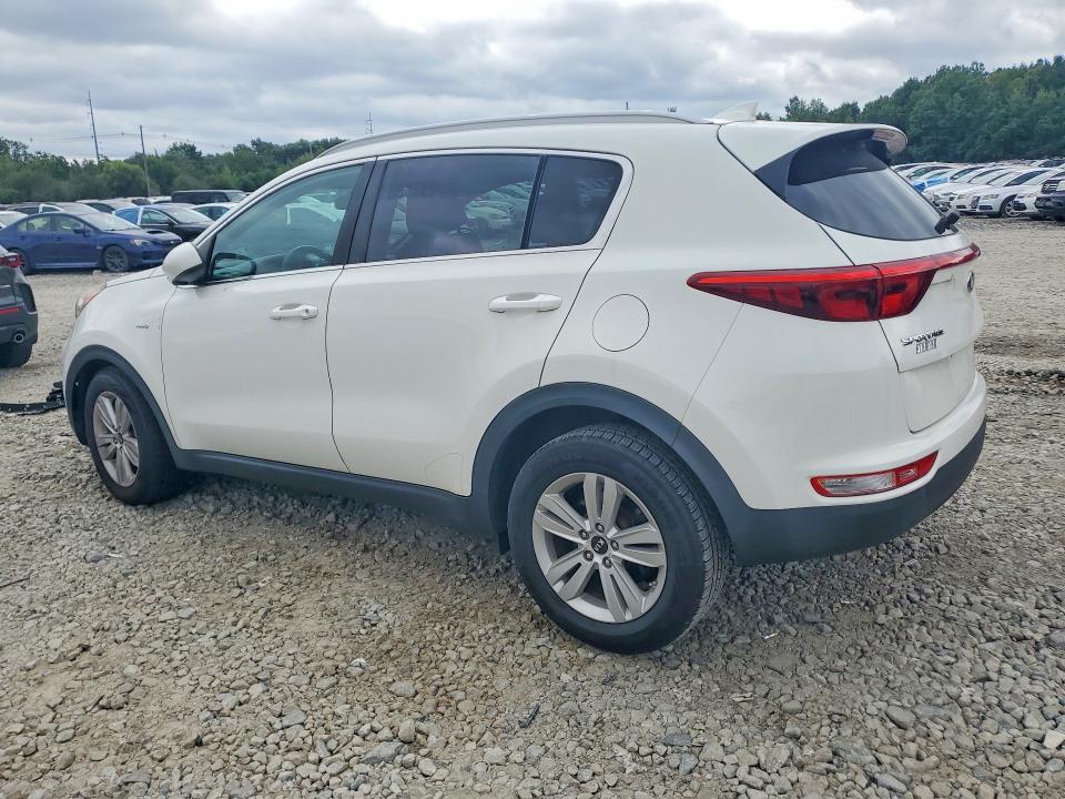 Продаж на аукціоні авто 2017 Kia Sportage, vin: KNDPMCAC8H7241336, номер лоту: 64932566