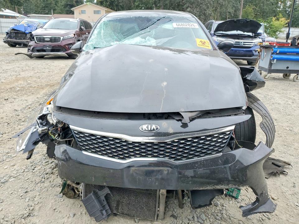 Aukcja sprzedaży 2016 Kia Optima, vin: 5XXGW4L24GG075746, numer aukcji: 66802826