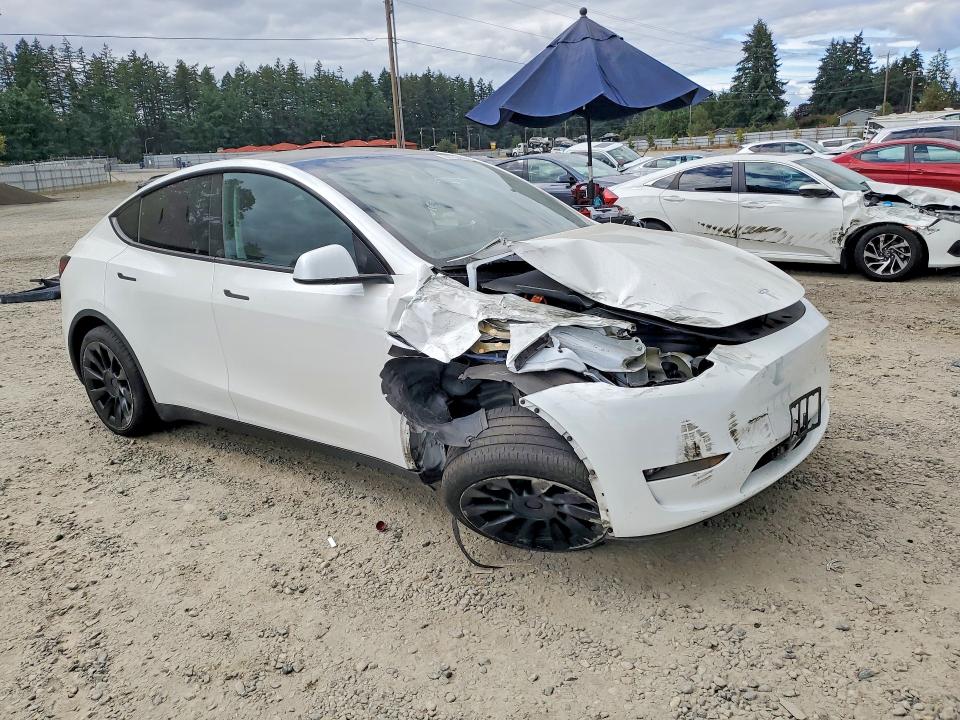 Aukcja sprzedaży 2023 Tesla Model Y, vin: 7SAYGDEE7PF691830, numer aukcji: 66756216