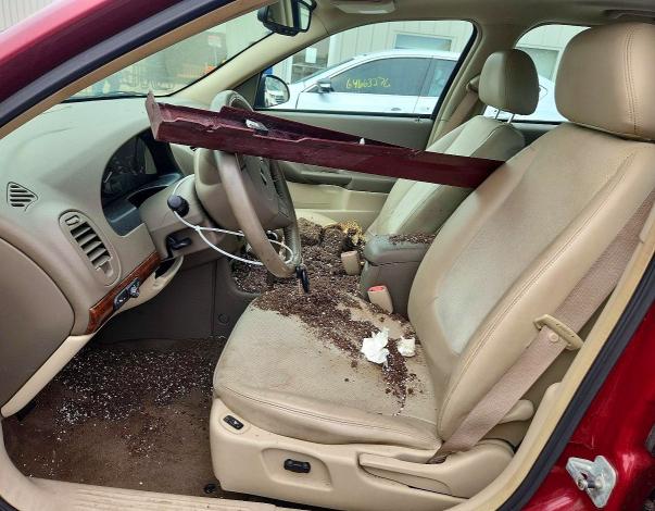 Aukcja sprzedaży 2004 Chevrolet Malibu, vin: 1G1ZU64834F203202, numer aukcji: 64783576