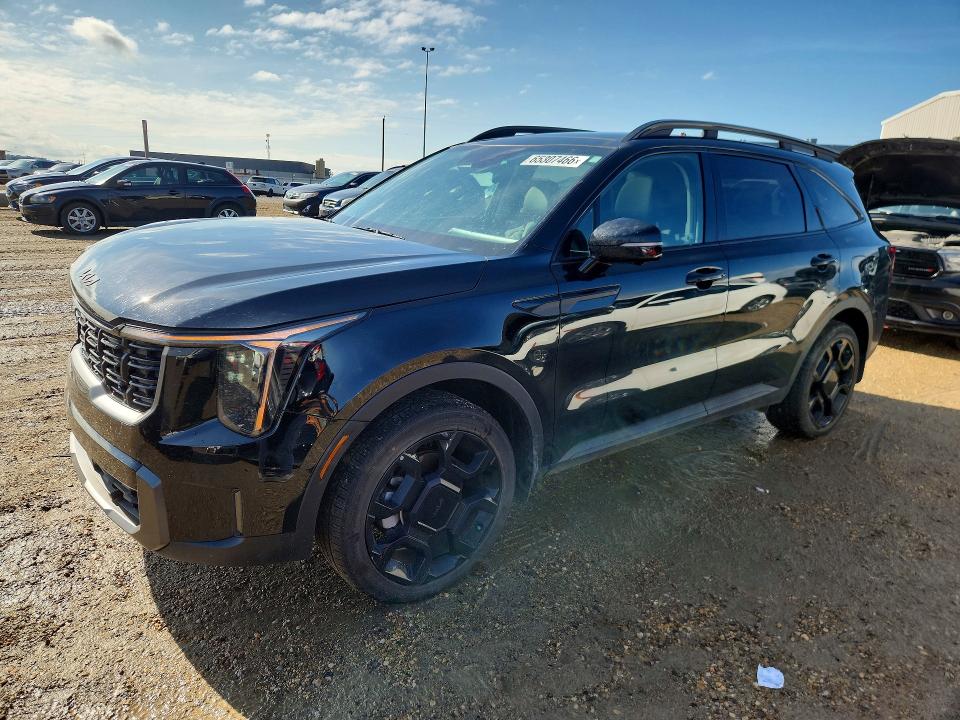 Auction sale of the 2025 Kia Sorento, vin: 5XYRKDJF9SG312486, lot number: 65307466