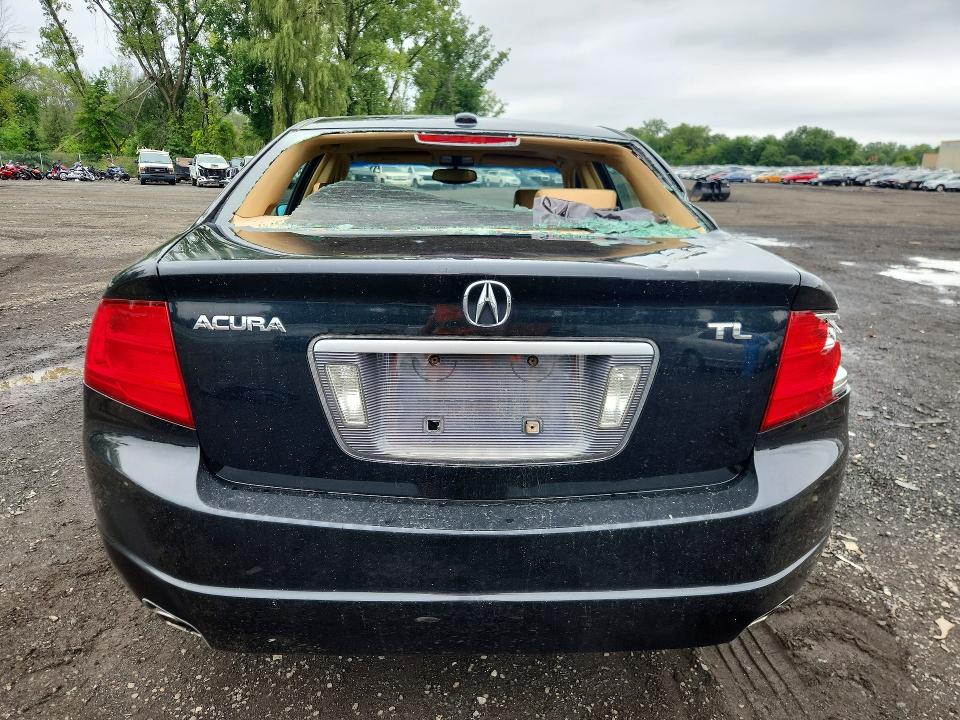 65007976 :رقم المزاد ، 19UUA66206A041095 vin ، 2006 Acura 3.2tl مزاد بيع
