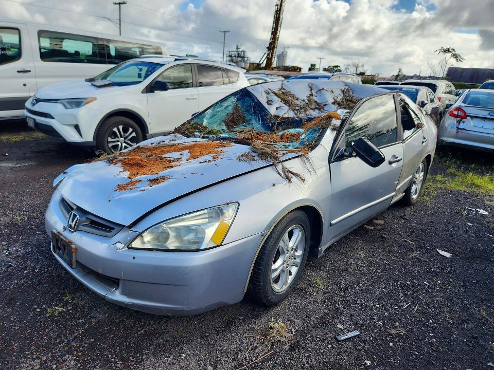 2005 Honda Accord მანქანა იყიდება აუქციონზე, vin: 1HGCM56155A148047, აუქციონის ნომერი: 66347616