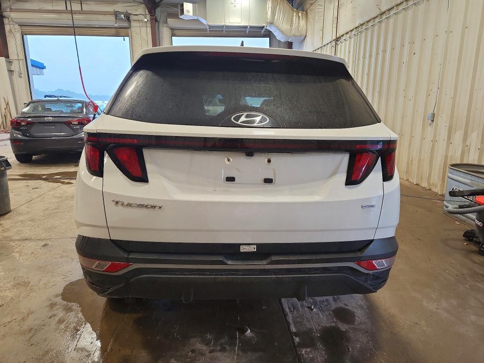 Продаж на аукціоні авто 2024 Hyundai Tucson, vin: 5NMJBCDE7RH383048, номер лоту: 65046376