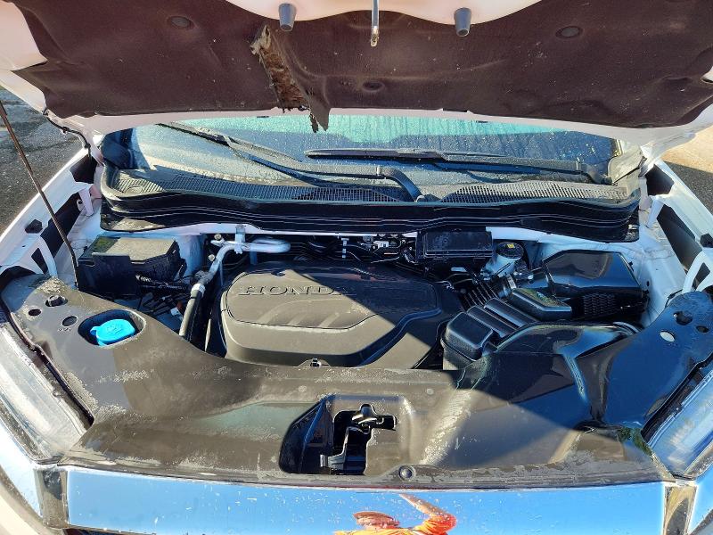 2024 Honda Passport მანქანა იყიდება აუქციონზე, vin: 5FNYF8H58RB010080, აუქციონის ნომერი: 65893286
