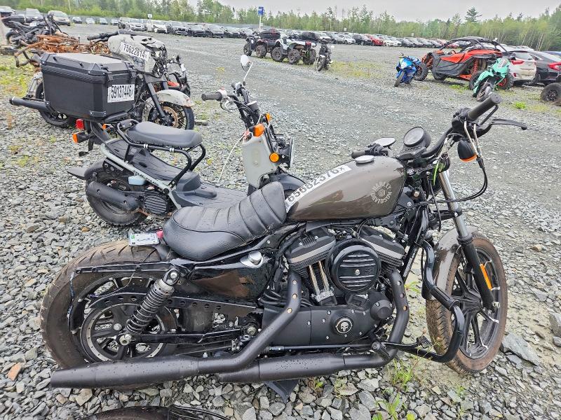 2020 Harley-davidson Xl883 მანქანა იყიდება აუქციონზე, vin: 5HD4LE231LB403532, აუქციონის ნომერი: 65682376