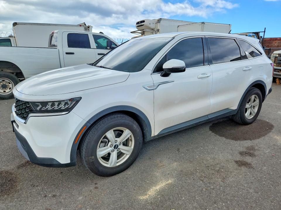 2023 Kia Sorento მანქანა იყიდება აუქციონზე, vin: 5XYRG4LC9PG203540, აუქციონის ნომერი: 64651056