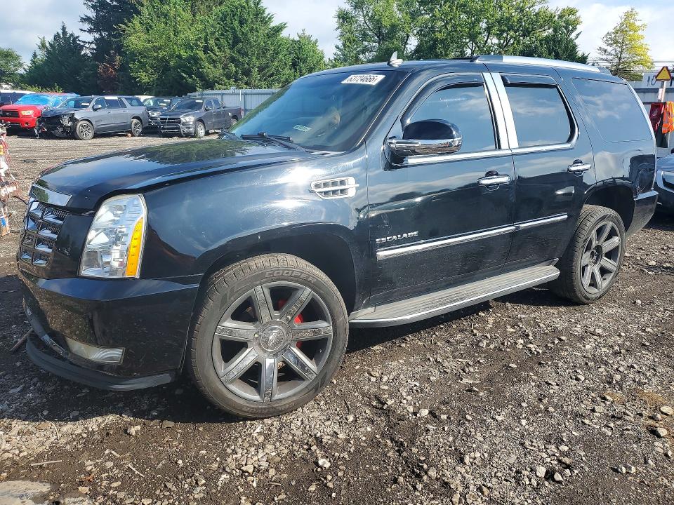 Auction sale of the 2011 Cadillac Escalade, vin: 1GYS4AEF7BR307769, lot number: 63724666