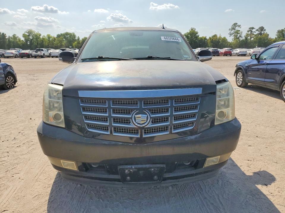 Продаж на аукціоні авто 2009 Cadillac Escalade, vin: 1GYFK43559R128563, номер лоту: 66520666