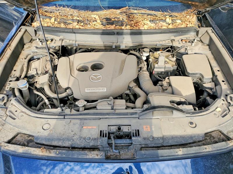 66435396 :رقم المزاد ، JM3TCBDY8L0413246 vin ، 2020 Mazda Cx-9 مزاد بيع