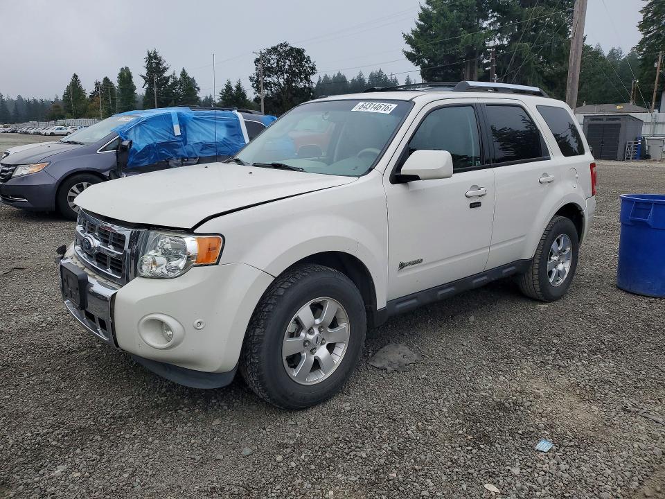 Auction sale of the 2010 Ford Escape, vin: 1FMCU5K35AKC29488, lot number: 64314616