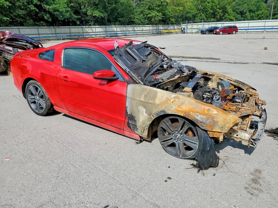 Продаж на аукціоні авто 2013 Ford Mustang, vin: 1ZVBP8AM4D5267121, номер лоту: 64085626