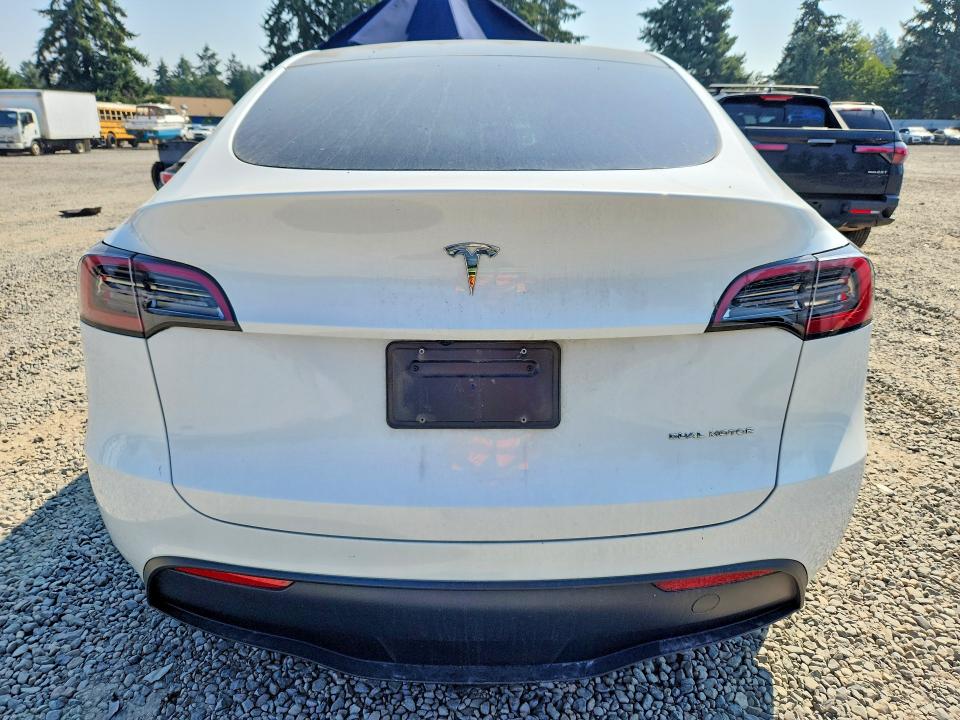 Aukcja sprzedaży 2024 Tesla Model Y, vin: 7SAYGDEE3RF075495, numer aukcji: 64226066