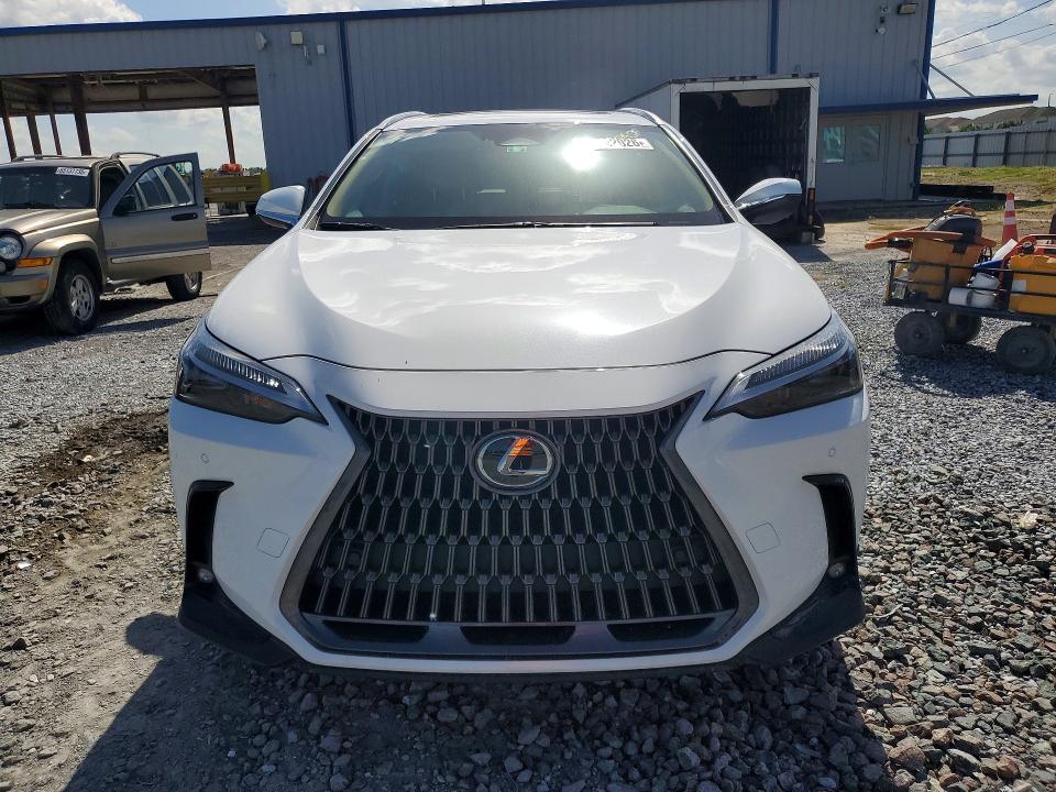 Продажа на аукционе авто 2026 Lexus Nx 350, vin: 2T2AGCEZ5TC104109, номер лота: 65342026