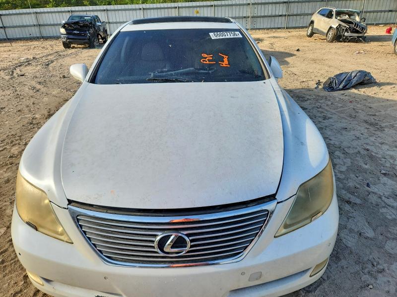 2007 Lexus Ls მანქანა იყიდება აუქციონზე, vin: JTHBL46F375018376, აუქციონის ნომერი: 66007756