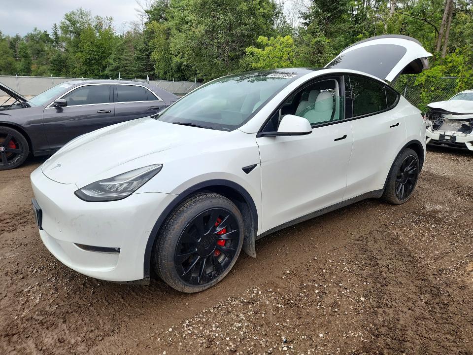 Продажа на аукционе авто 2022 Tesla Model Y, vin: 7SAYGAEE2NF359547, номер лота: 64721896