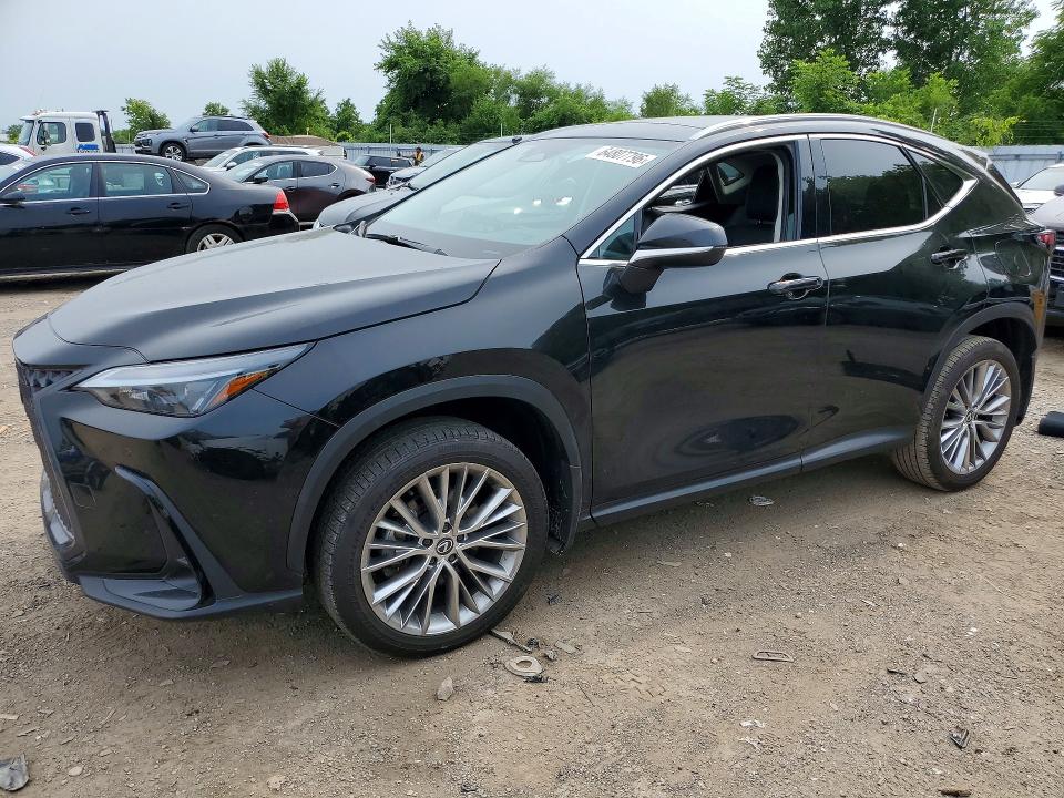 64807796 :رقم المزاد ، 2T2GKCEZ4RC017495 vin ، 2024 Lexus Nx مزاد بيع