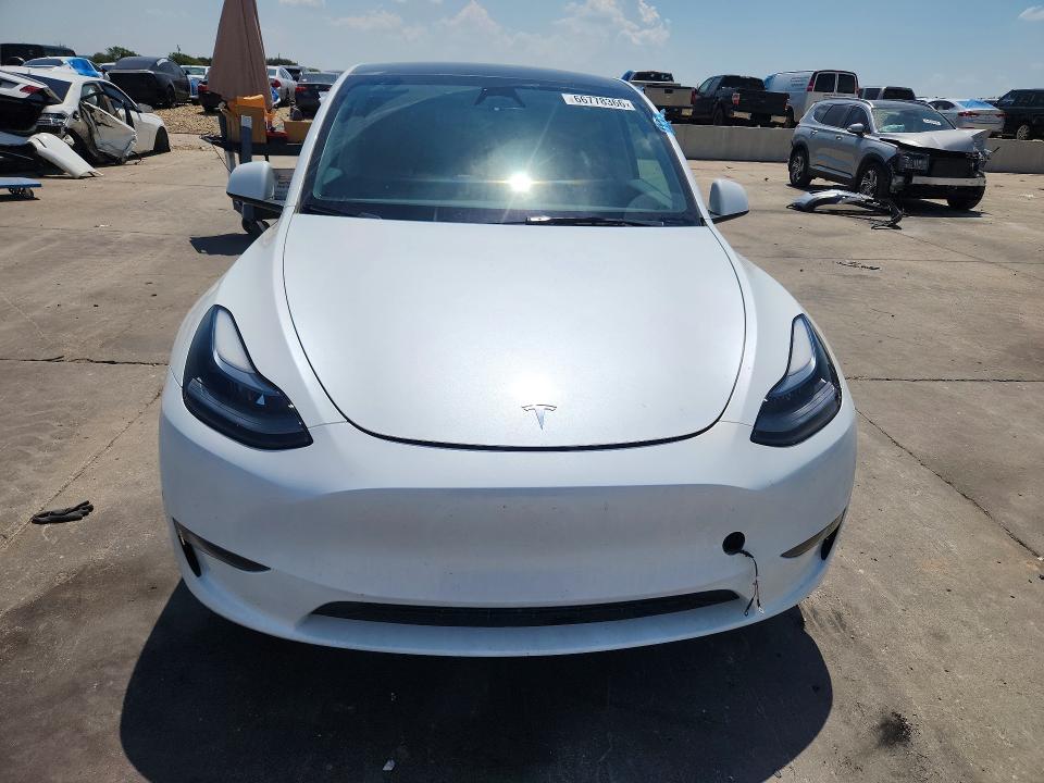 Продажа на аукционе авто 2025 Tesla Model Y, vin: 7SAYGDED1SA378818, номер лота: 66778366