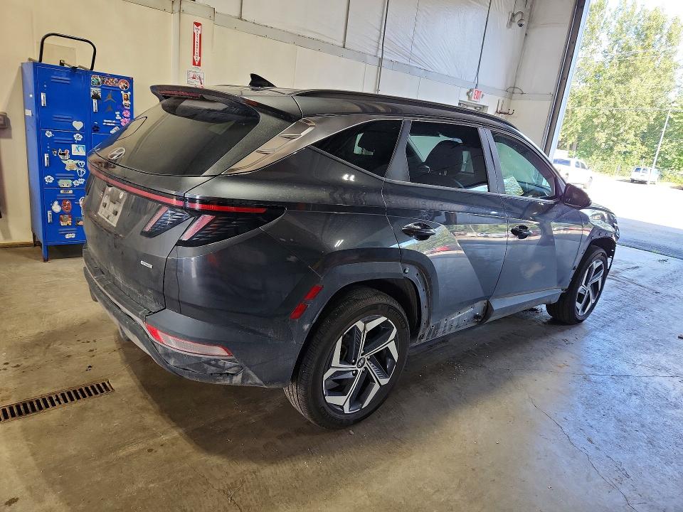 66251136 :رقم المزاد ، 5NMJFCDE8RH364108 vin ، 2024 Hyundai Tucson مزاد بيع
