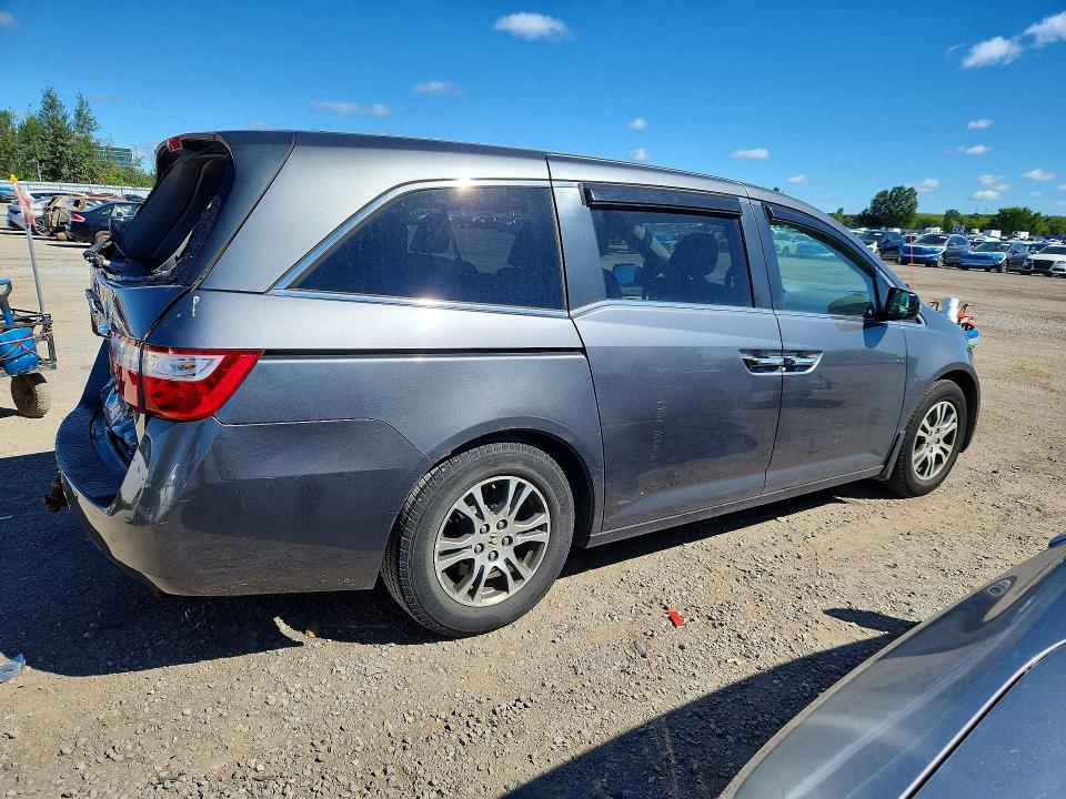 66719866 :رقم المزاد ، 5FNRL5H43DB502589 vin ، 2013 Honda Odyssey مزاد بيع
