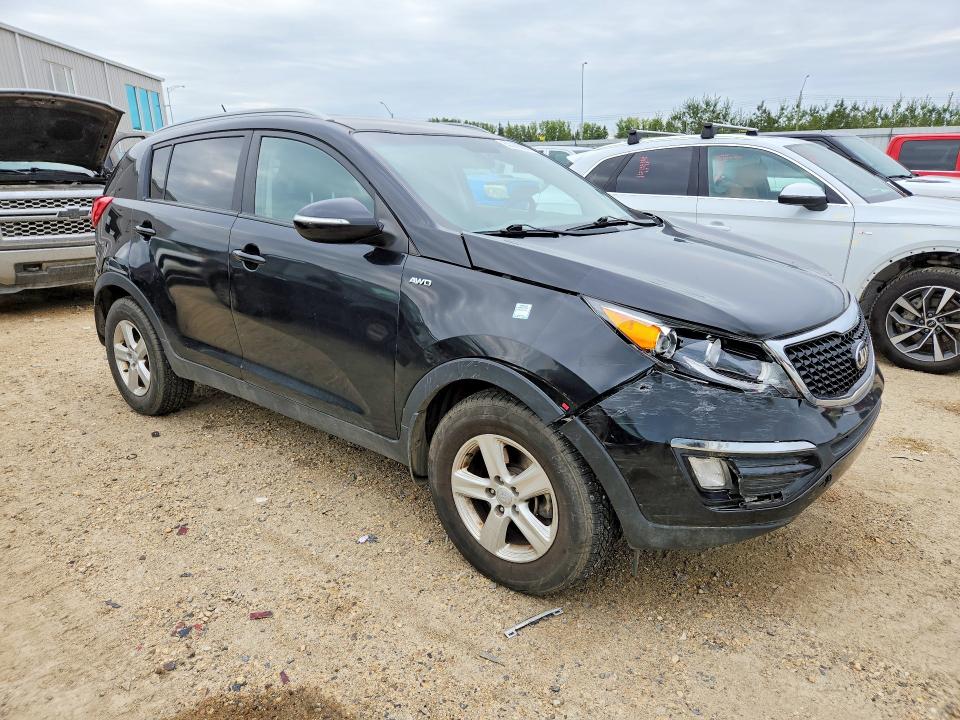 Продаж на аукціоні авто 2014 Kia Sportage, vin: KNDPBCAC3E7630208, номер лоту: 65389096