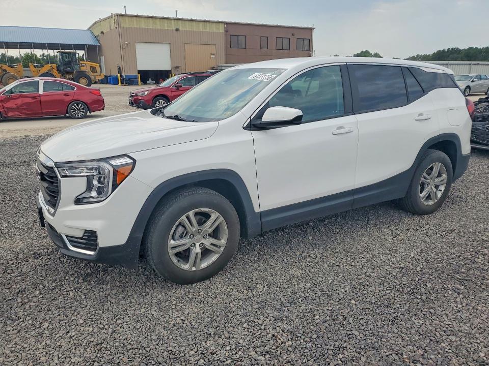 Aukcja sprzedaży 2024 Gmc Terrain, vin: 3GKALTEG2RL313753, numer aukcji: 64331756