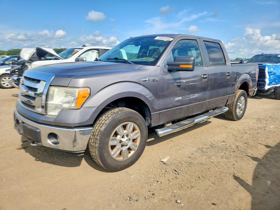 2009 Ford F150 მანქანა იყიდება აუქციონზე, vin: 1FTRW14849FA06227, აუქციონის ნომერი: 65956046