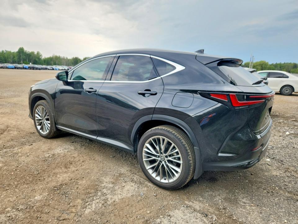 Aukcja sprzedaży 2026 Lexus Nx, vin: 2T2GGCEZ8TC097053, numer aukcji: 64995666