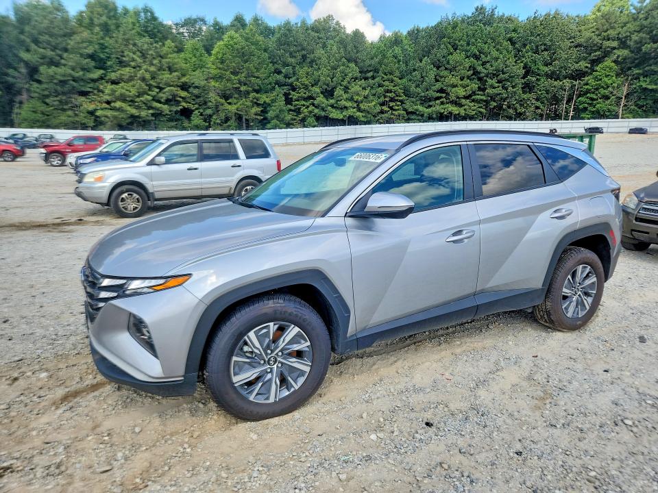 Auction sale of the 2023 Hyundai Tucson, vin: KM8JBCA11PU117334, lot number: 66006316
